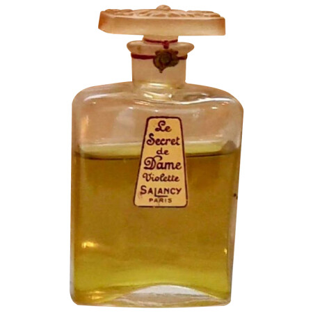 Salancy Le Secret de Dame Violette