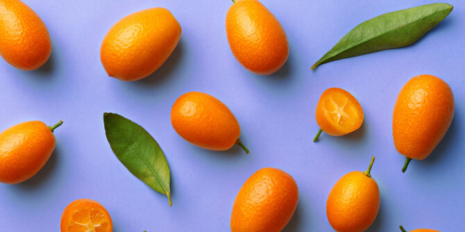 Илиас Эрменидис составил Corfu Kumquat для Aedes de Venustas