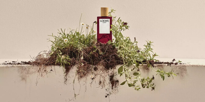 Дрожь земли: Earth от Loewe с нотой трюфеля — и не только