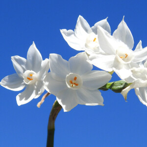 «Территория свободы»: Анна Дюжник о telegram-канале «Форточка»