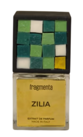 Fragmenta Zilia