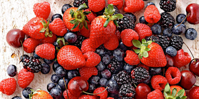 Red Berries Elixir и Forbidden Nectar — новый дуэт ароматов от Les Sœurs de Noé