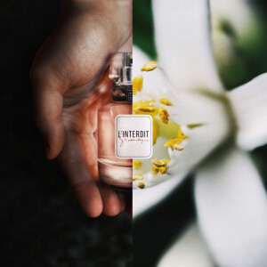 Тюльпаны, роза, флёрдоранж: 5 цветочных ароматов для начала весны