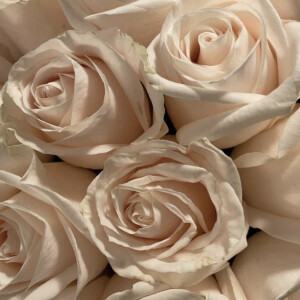 Цитрусы и живые цветы: освежающие ароматы для лета