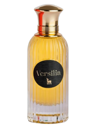 Kolmaz Versilia
