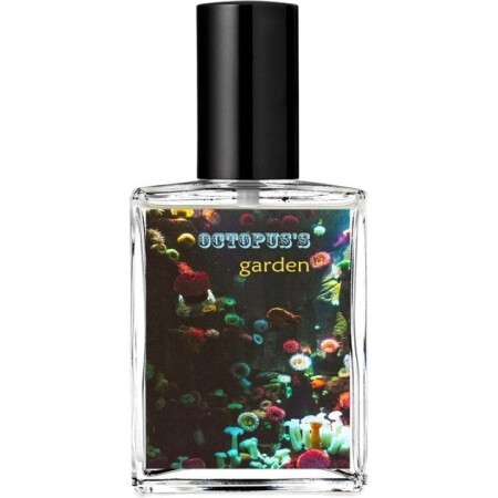 Good Olfactory Octopus's Garden