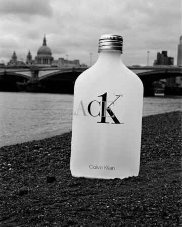 calvin klein ck1