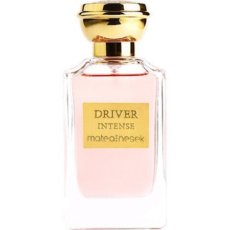 Matea Nesek Driver Intense Women