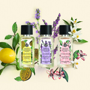 Essences Botaniques – новая коллекция от Yves Rocher, вдохновлённая аромакологией