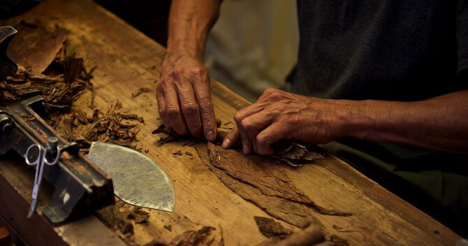 Курильни и Galouises под кустом жасмина: 11 ароматов с нотой табака