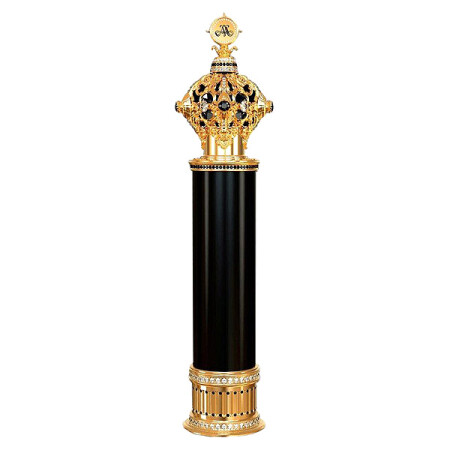 Amaffi Perfume House Power for Men