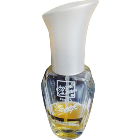 Gallery Cosmetics Second Edition No.25 Scoop