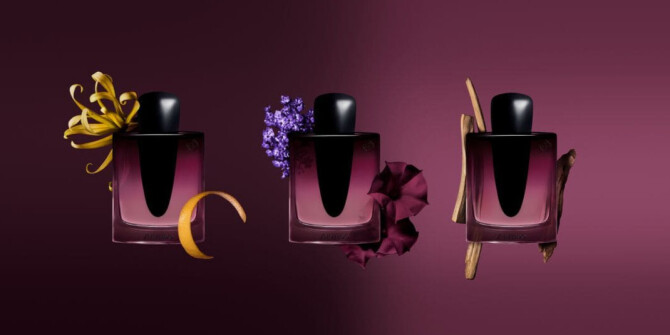 Ginza Datura – новый фланкер популярного цветочного аромата Ginza от Shiseido