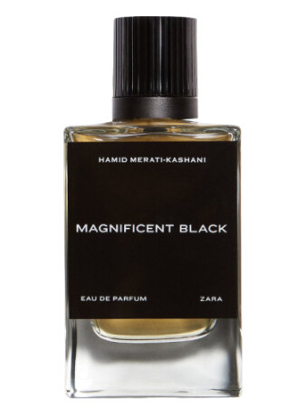 Zara Magnificent Black
