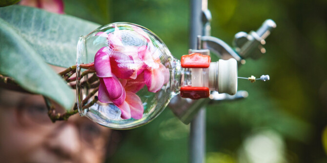 Headspace: откуда в духах запах резины или яблочного пирога