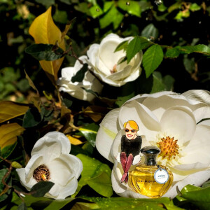 Интервью с парфюмером Веро Керн (Vero Kern)