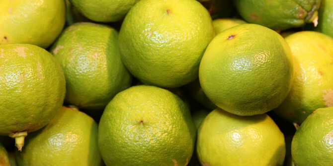 В летний вишлист: Citrus Paradisi от Farmacia SS. Annunziata 1561