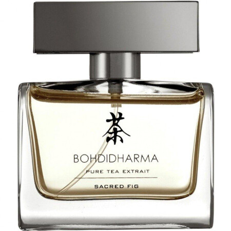 Bohdidharma Sacred Fig
