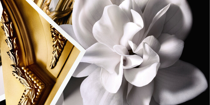 Линия Givenchy La Collection Particulière пополнилась двумя новинками: Faux Semblant и Téméraire