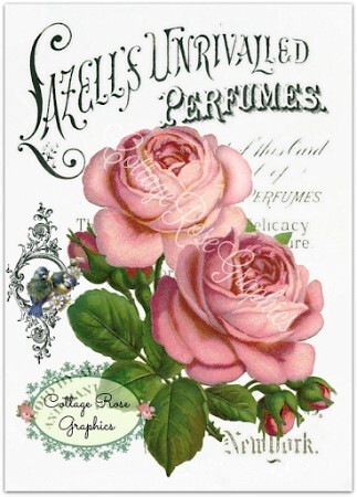 Lazell, Dalley & Co Empire Rose