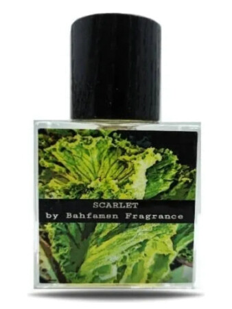Bahfamsn Fragrance Scarlet