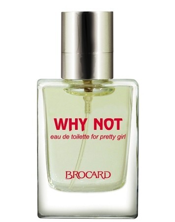 Brocard Why Not