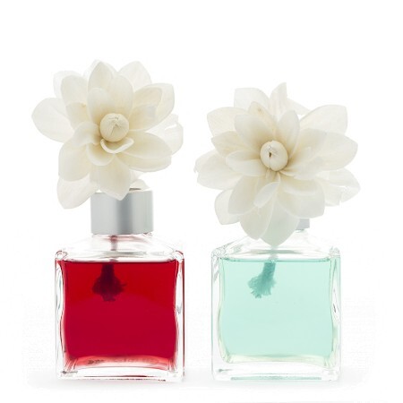 Le Parfumeur Eau de Salon