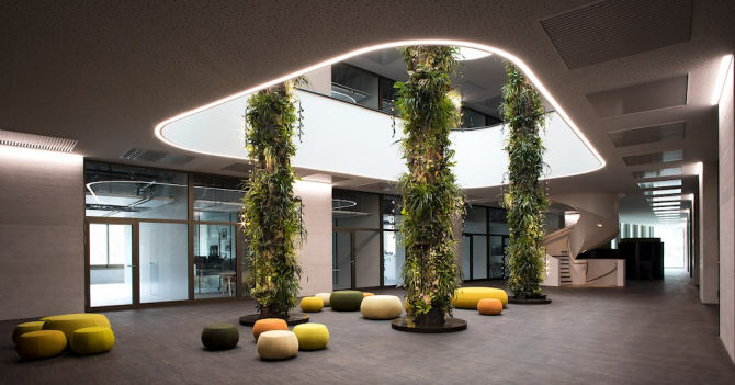 Givaudan присоединились к программе по борьбе с глобальным потеплением