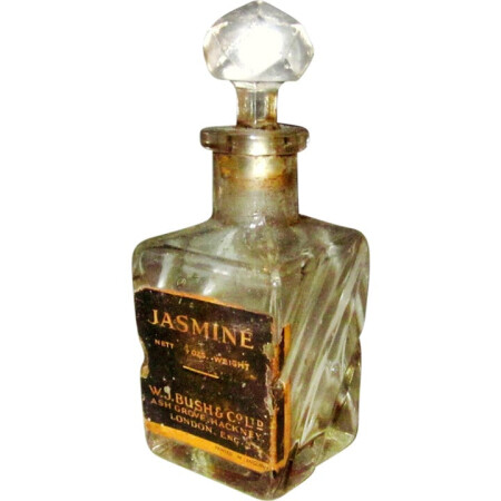 W. J. Bush Co. Jasmine