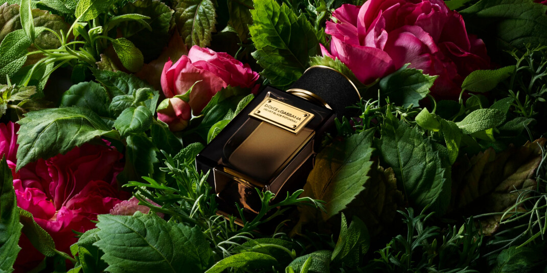 Black Patchouli от Dolce &amp; Gabbana — уже в России