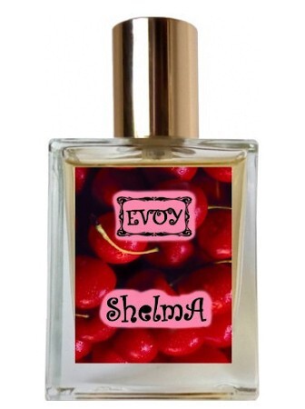 EVOY SHELMA