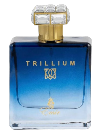 Paris Corner Trillium