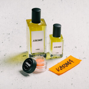 Парфюмерно-косметическая сеть Lush закроет все магазины в России