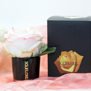 Soliflore – о красоте роз и не только