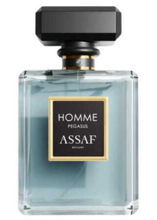 Assaf Homme Pegasus