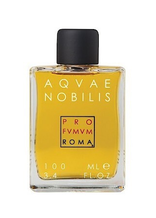Pro Fvmvm Roma Aqvae Nobilis