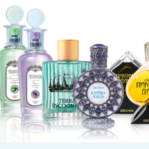 Brocard tune of love