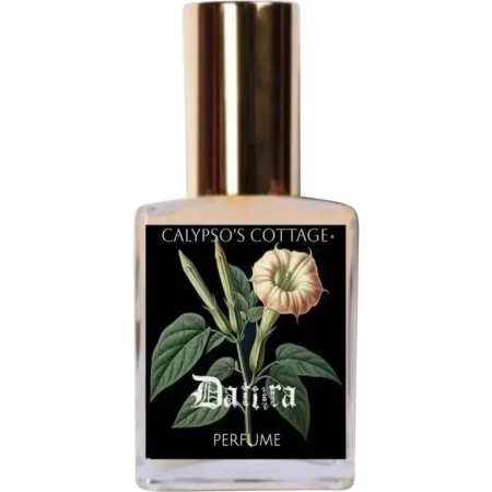Calypso's Cottage Datura