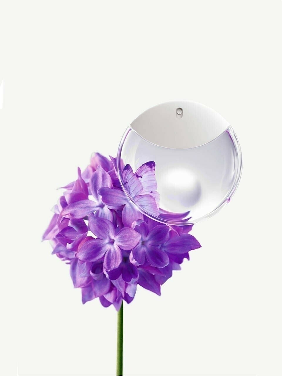null null