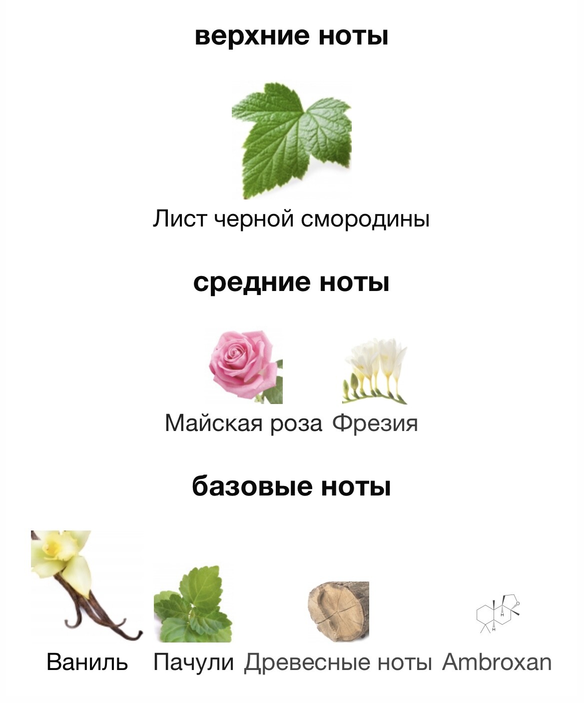 Пирамида аромата.