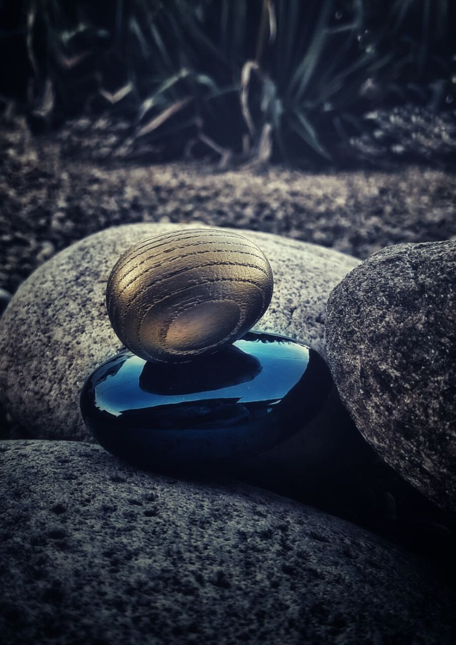 фото Naxitrall Celestial фото Naxitrall Celestial