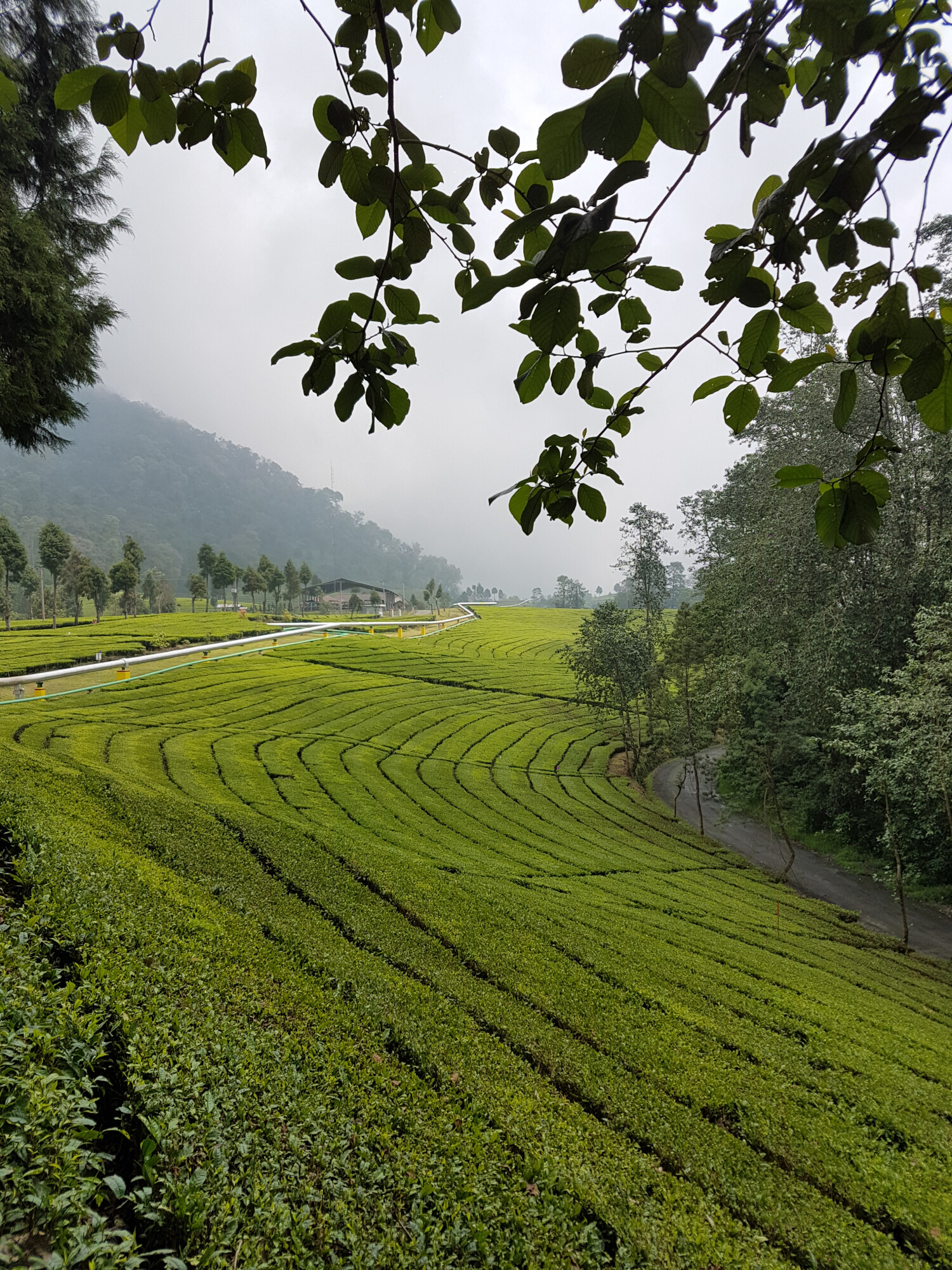 Фото: Pixabay Фото: Pixabay