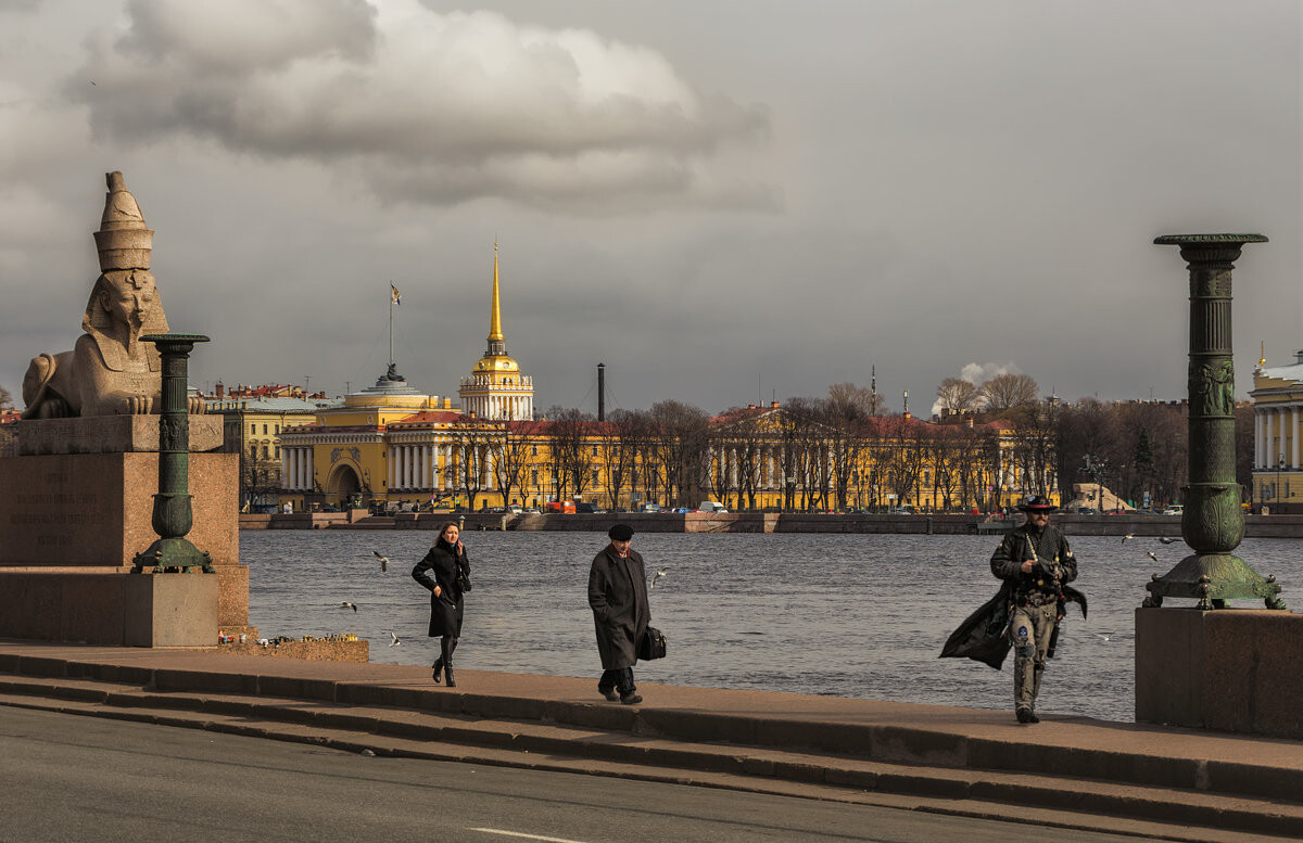 Питер в конце ноября фото