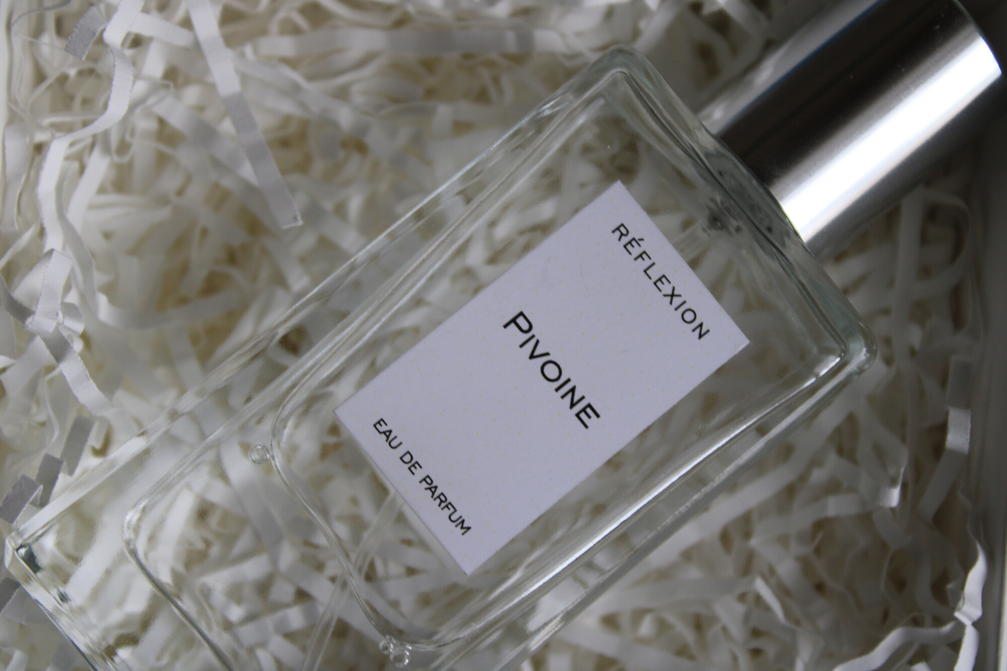 Reflexion. Фото автора статьи.