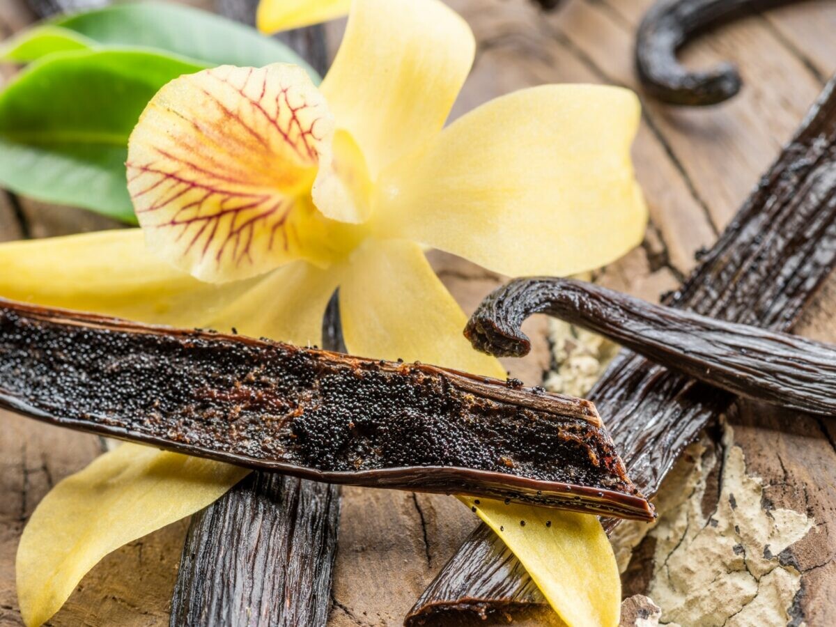 Вкус запах ванили. Мадагаскарская ваниль. Цветок ванили. Ваниль (пряность). Бурбонская ваниль растение.