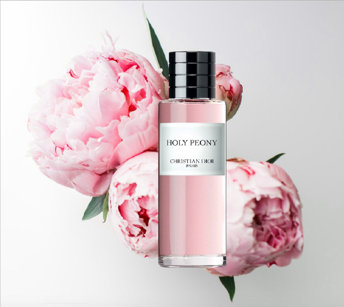 Аромат пионов. Диор Holy Peony. Holy Peony Christian Dior. Диор пион духи. Кристиан диор пионы.