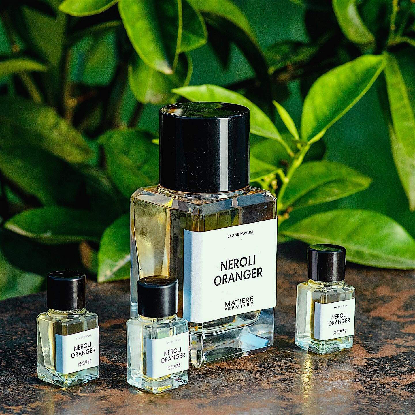 Matiere premiere. Matiere Premiere Neroli oranger. Parisian Musc matiere Premiere. Matiere Premiere bois d ebene. Черный перец, амбра, нероли picture