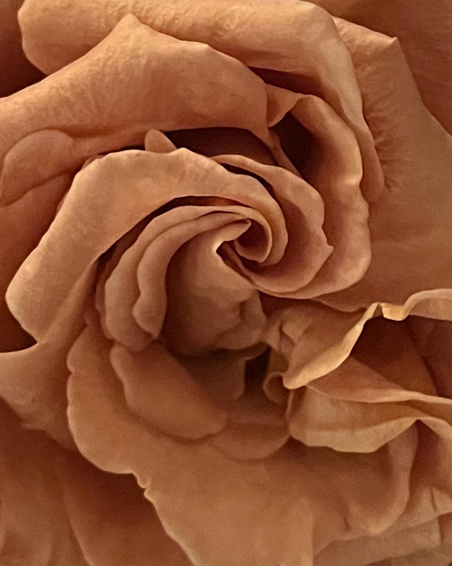 Любовное послание Нью-Йорку: Régime des Fleurs представили Leather Petals Любовное послание Нью-Йорку: Régime des Fleurs представили Leather Petals