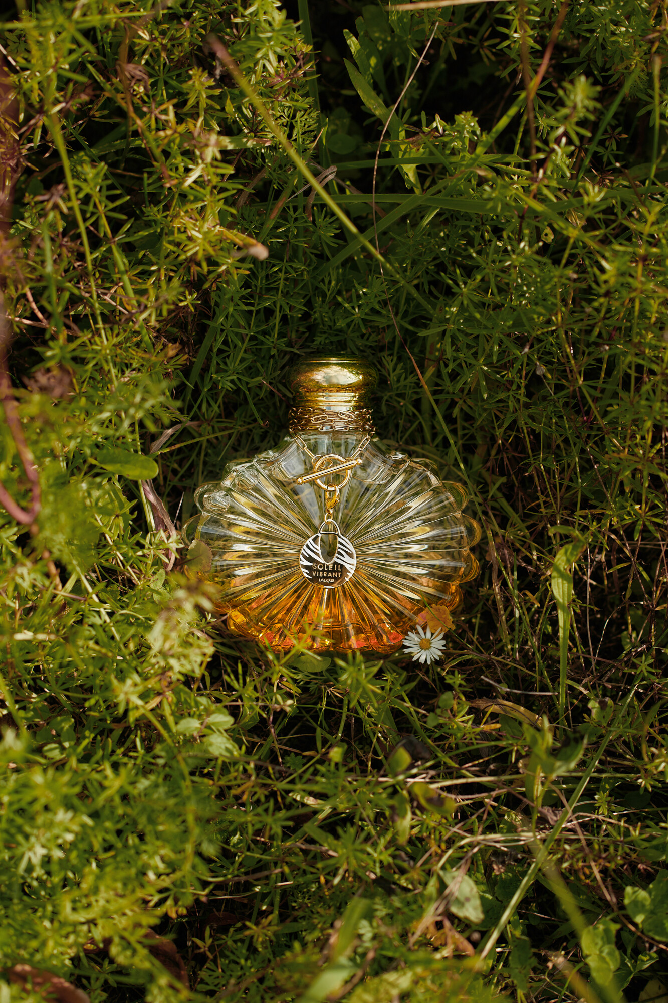 Lalique посвятили Soleil Vibrant Eau de Parfum Африке Lalique посвятили Soleil Vibrant Eau de Parfum Африке