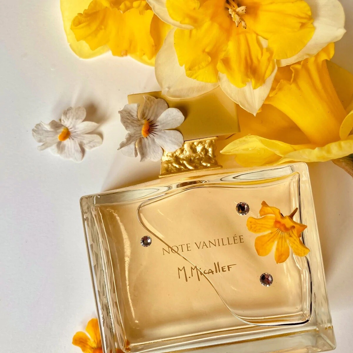 M.Micallef показали новую версию Note Vanillée — Nectar M.Micallef показали новую версию Note Vanillée — Nectar